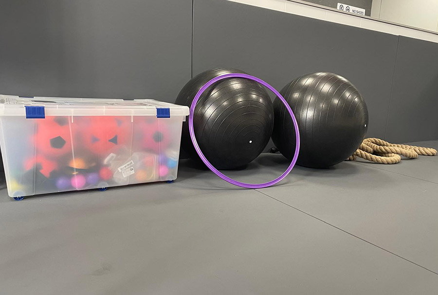 Alliance Jiu Jitsu Braga