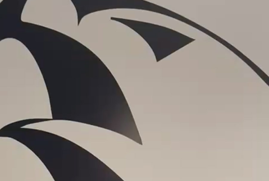 Alliance Jiu Jitsu Braga